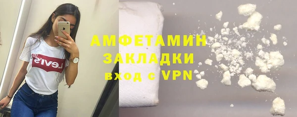 гидра Алексин