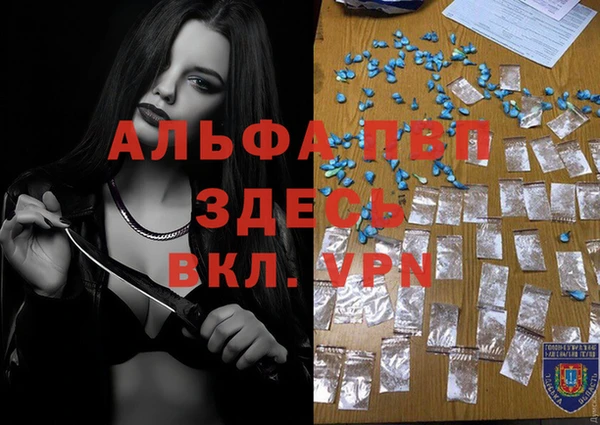 гидра Алексин