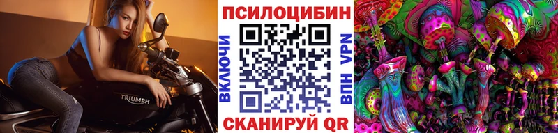 Галлюциногенные грибы MAGIC MUSHROOMS  блэк спрут рабочий сайт  Томмот  цена наркотик 